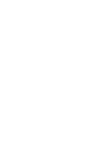 違い4